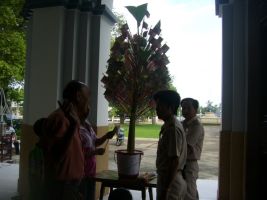 dkb2011_17jul05.JPG