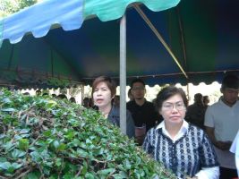 fr_siranon2012_31dec08.JPG