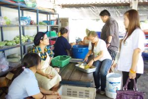 02flood2011_daruna_camp017.JPG