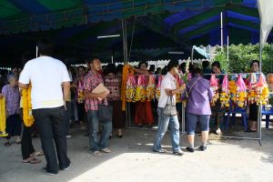2011_12jun10.JPG