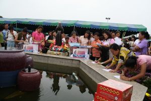 2011_12jun31.JPG