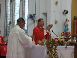 2011_12jun51.JPG