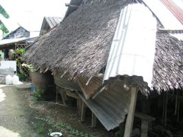 2011_4aug3.JPG