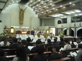 2011_6apr21.JPG