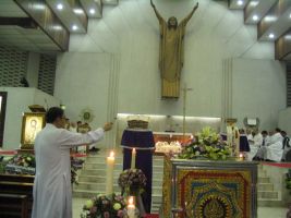 2011_6apr26.JPG
