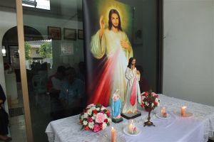 mercy2011_6nov05.JPG