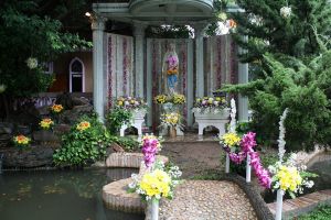 2011_11sep48.JPG