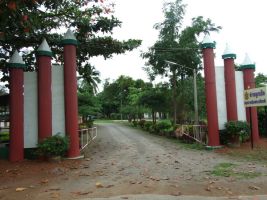 camp_daruna14.JPG