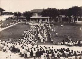 pasotti1950_3sep09.jpg