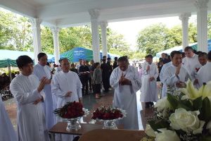 2011_15jun06.JPG