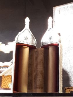 2019_7feb0087.jpg