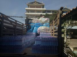 south-flood16jan2017010.jpg