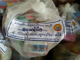 south-flood16jan2017014.jpg