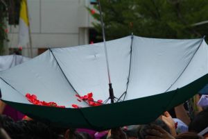 2014_5oct105.JPG