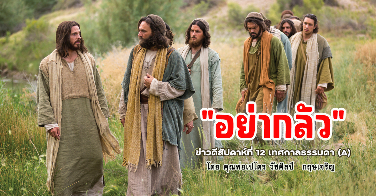 "อย่ากลัว" ข่าวดีสัปดาห์ที่ 12 เทศกาลธรรมดา (A) วันอาทิตย์ที่ 25 มิถุนายน 2023