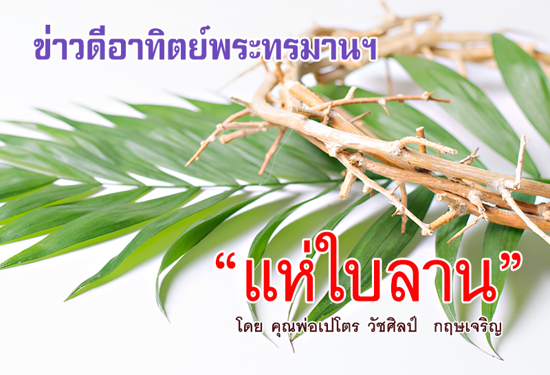 "แห่ใบลาน" ข่าวดีอาทิตย์พระทรมาน (ปีB) 