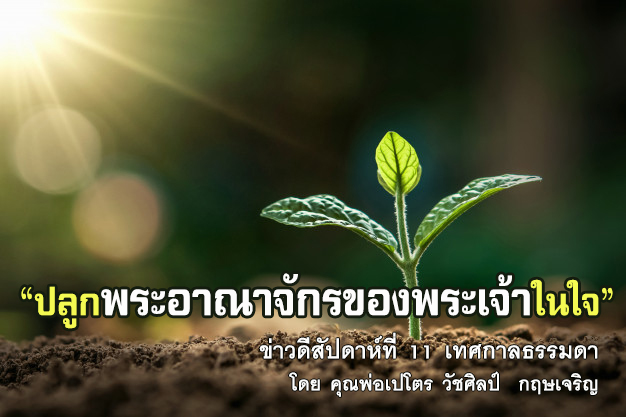 ข่าวดีสัปดาห์ที่ 11 เทศกาลธรรมดา
