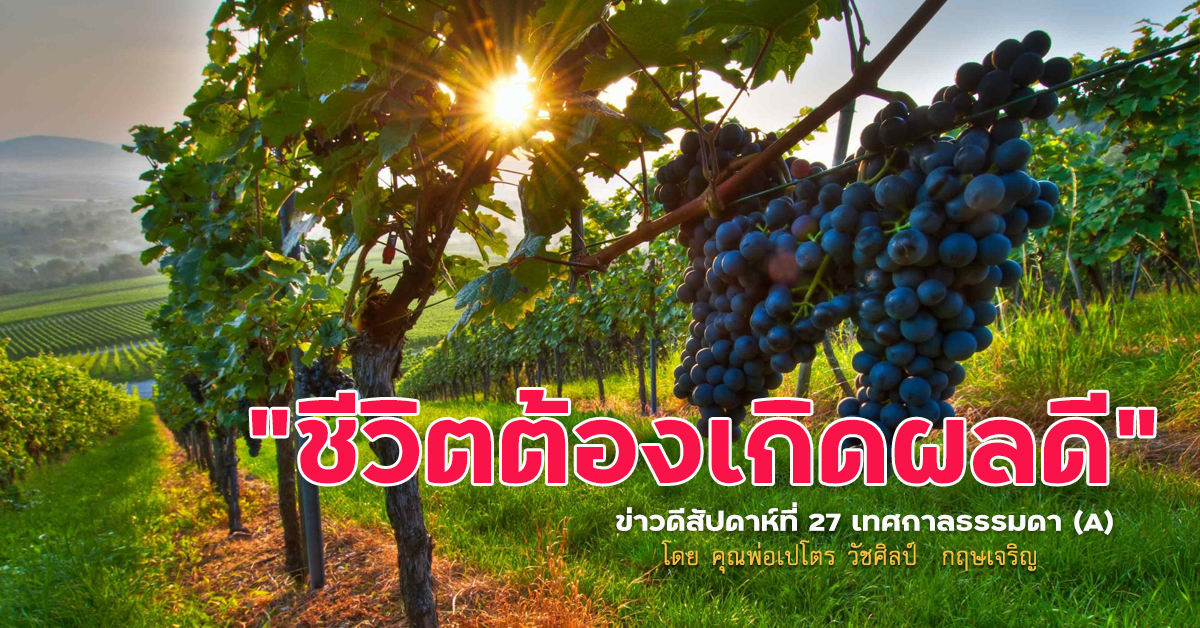 "ชีวิตต้องเกิดผลดี" ข่าวดีสัปดาห์ที่ 27 เทศกาลธรรมดา (A)