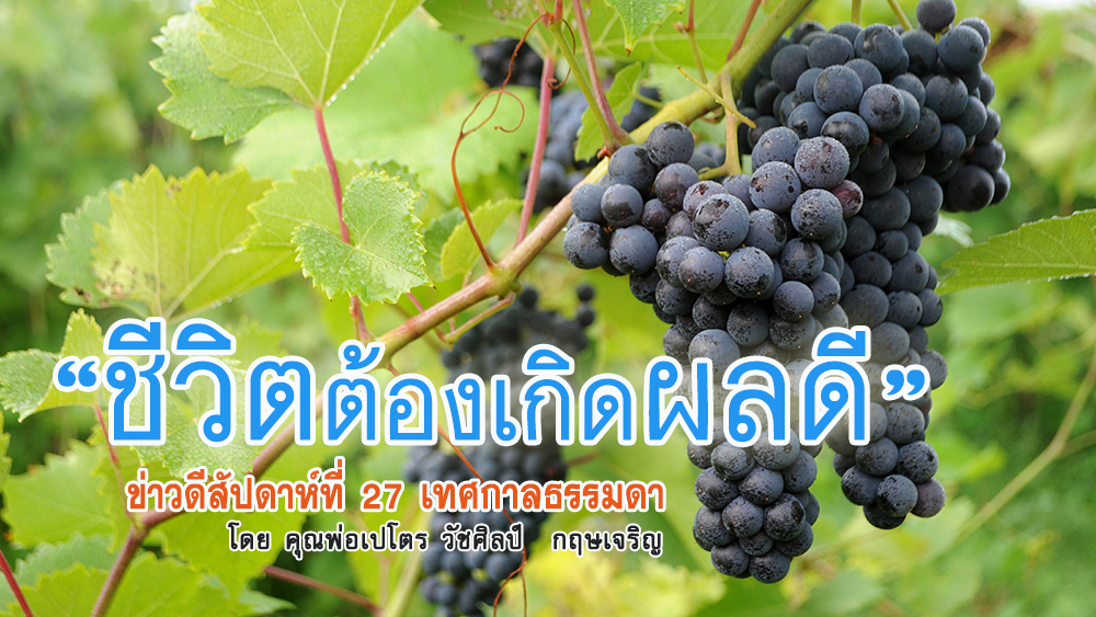  "ชีวิตต้องเกิดผลดี" ข่าวดีสัปดาห์ที่ 27 เทศกาลธรรมดา 