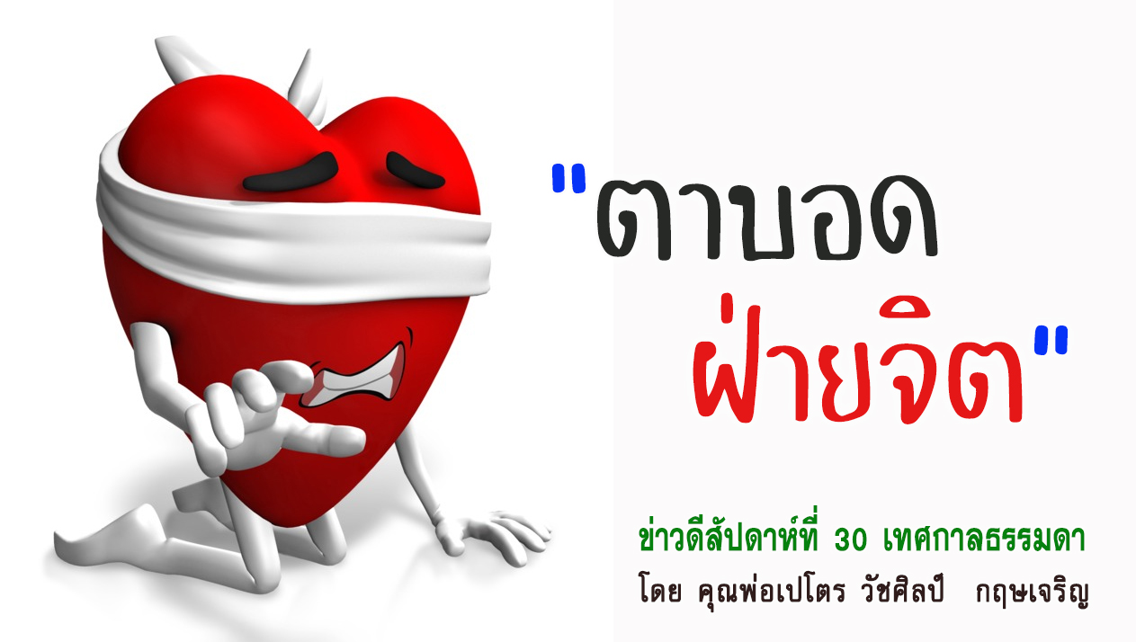 "ตาบอดฝ่ายจิต" ข่าวดี สัปดาห์ที่ 30 เทศกาลธรรมดา (B)