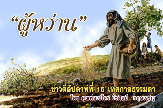 ผู้หว่าน : ข่าวดีสัปดาห์ที่ 15 เทศกาลธรรมดา