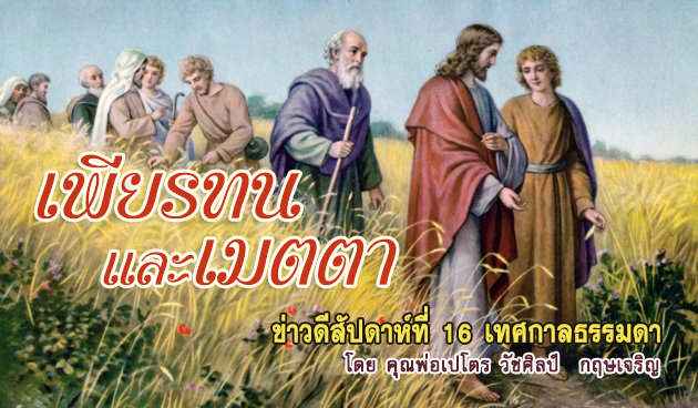 เพียรทนและเมตตา ข่าวดีสัปดาห์ที่ 16 เทศกาลธรรมดา 