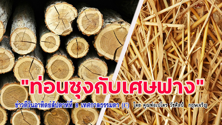 "ท่อนซุงกับเศษฟาง" ข่าวดีวันอาทิตย์สัปดาห์ที่ 8 เทศกาลธรรมดา (C)