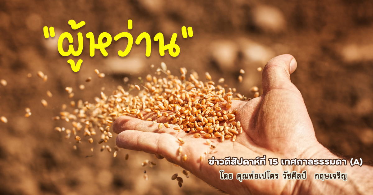 "ผู้หว่าน"  ข่าวดีสัปดาห์ที่ 15 เทศกาลธรรมดา (A)